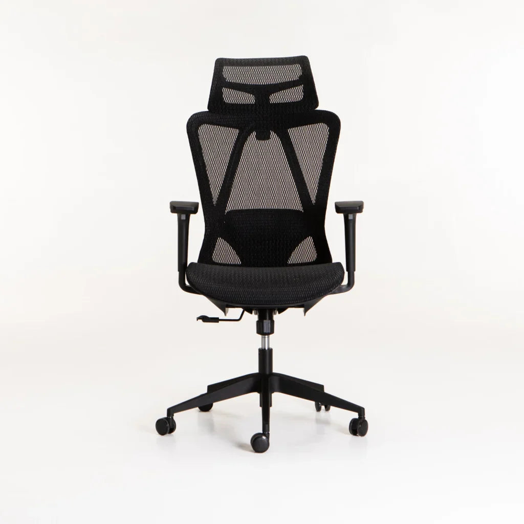 ERGONOMIC LUXURY EXECUTIVE OFFICE CHAIR 360M