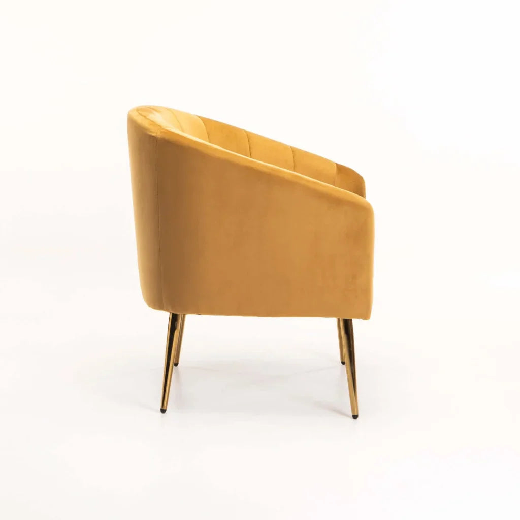 COLT VELVET CHAIR - GOLD LEG